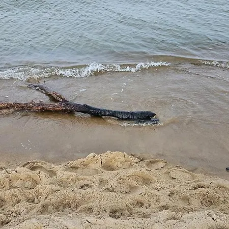Neptun Nad Morzem Wyspa Sobieszewska Διαμέρισμα Γκντανσκ