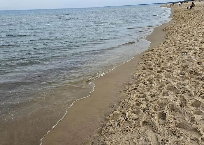 Neptun Nad Morzem Wyspa Sobieszewska * Danzig