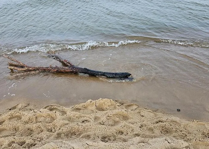 Neptun Nad Morzem Wyspa Sobieszewska شقة غدانسك