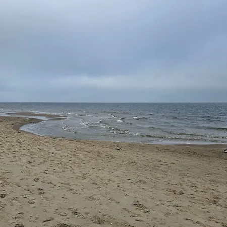 Neptun Nad Morzem Wyspa Sobieszewska Daire Gdansk
